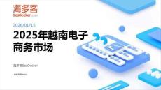 2025年越南电子商务市场洞察报告