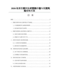 2026能源互聯網技術營銷價值與投資風險控制方案