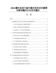 2026绿色能源行业市场供需原因投资评估环境规划分析研究报告
