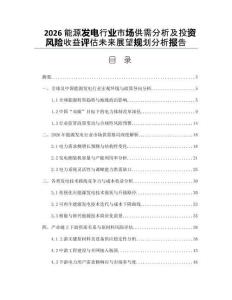 2026能源發電行業市場供需分析及投資風險收益評估未來展望規劃分析報告
