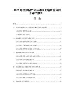 2026电热敷贴产品运动康复领域应用前景评估报告