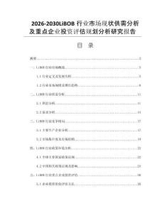 2026-2030LiBOB行业市场现状供需分析及重点企业投资评估规划分析研究报告