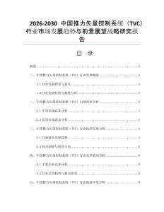 2026-2030中国推力矢量控制系统（TVC）行业市场发展趋势与前景展望战略研究报告