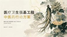 医疗卫生强基工程中医药行动方案
