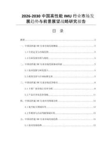 2026-2030中国高性能IMU行业市场发展趋势与前景展望战略研究报告