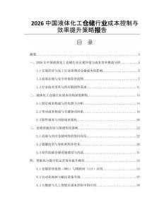2026中国液体化工仓储行业成本控制与效率提升策略报告