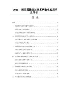 2026中國晶圓級封裝技術產業化應用前景分析