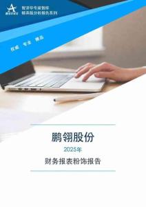 300375鹏翎股份2025年财务报表粉饰报告