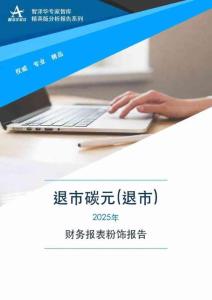 603133退市碳元(退市)2025年财务报表粉饰报告