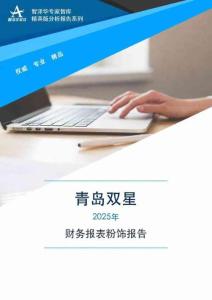 000599青島雙星2025年財(cái)務(wù)報(bào)表粉飾報(bào)告