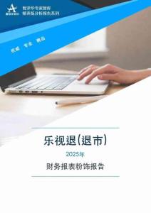 300104乐视退(退市)2025年财务报表粉饰报告