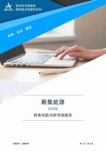601918新集能源2025年財務風險分析詳細報告