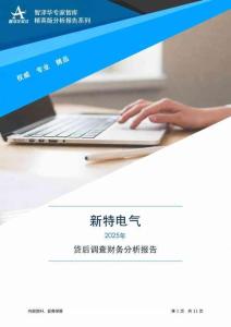 301120新特電氣2025年貸前盡職調(diào)查財(cái)務(wù)分析報(bào)告