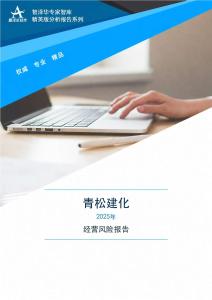600425青松建化2025年經營風險報告