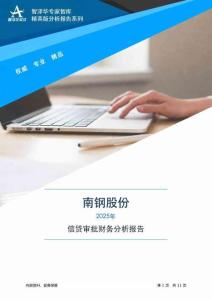 600282南钢股份2025年信贷审批财务分析报告