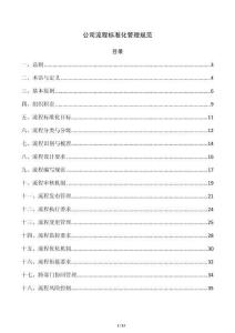公司流程标准化管理规范