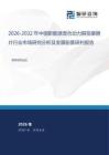 2026-2032年中國新能源混合動力限扭摩擦片行業市場研究分析及發展前景研判報告
