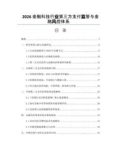 2026金融科技行業(yè)第三方支付監(jiān)管與金融風(fēng)控體系