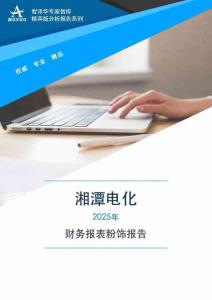 002125湘潭电化2025年财务报表粉饰报告