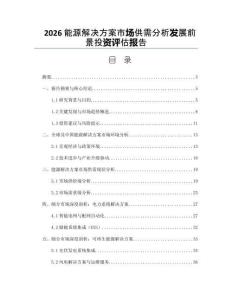 2026能源解决方案市场供需分析发展前景投资评估报告
