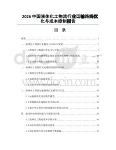2026中国液体化工物流行业运输路线优化与成本控制报告