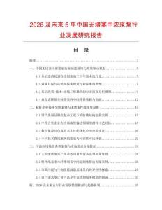 2026及未来5年中国无堵塞中浓浆泵行业发展研究报告