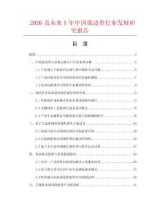 2026及未来5年中国曲边带行业发展研究报告