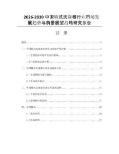 2026-2030中国骑式洗涤器行业市场发展趋势与前景展望战略研究报告