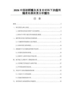 2026中国碳纤维及其复合材料下游应用场景拓展前景分析报告
