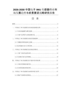 2026-2030中国电子IMU传感器行业市场发展趋势与前景展望战略研究报告