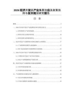 2026经济开发区产业集聚效应及政策扶持与发展规划研究报告