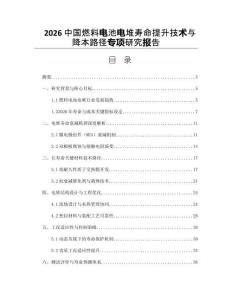 2026中国燃料电池电堆寿命提升技术与降本路径专项研究报告