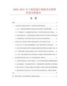 2026-2031年丁烷发泡片材机项目投资价值分析报告.docx