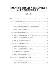2026中国船舶LNG动力改装技术难点与补贴政策利用效率报告