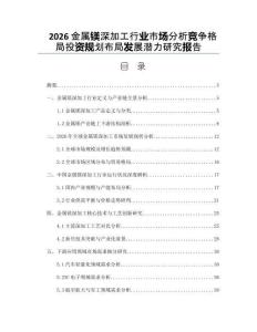 2026金属镁深加工行业市场分析竞争格局投资规划布局发展潜力研究报告