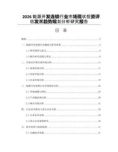2026能源开发连锁行业市场现状投资评估发展趋势规划分析研究报告