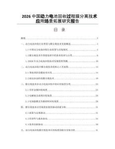 2026中国动力电池回收过程膜分离技术应用场景拓展研究报告