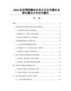 2026能源节约领域供需关系及投资机会评估规划分析研究报告