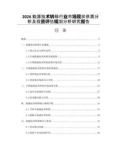 2026能源技术转移行业市场现状供需分析及投资评估规划分析研究报告