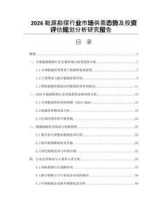 2026能源勘探行业市场供需态势及投资评估规划分析研究报告