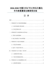 2026-2030中国闪锌矿行业市场发展趋势与前景展望战略研究报告