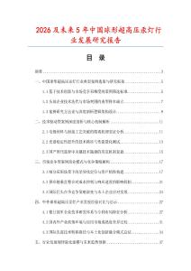 2026及未来5年中国球形超高压汞灯行业发展研究报告