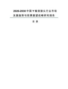 2026-2030中国Y输液接头行业市场发展趋势与前景展望战略研究报告