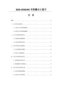 2026-2030LNG项目商业计划书