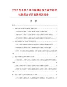 2026及未来5年中国模组放大器市场现状数据分析及前景预测报告.docx