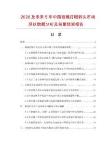 2026及未来5年中国玻璃打眼转头市场现状数据分析及前景预测报告.docx