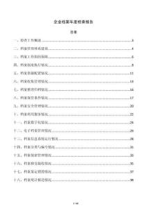 企业档案年度检查报告