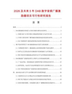 2026及未来5年DAB数字音频广播激励器项目可行性研究报告.docx