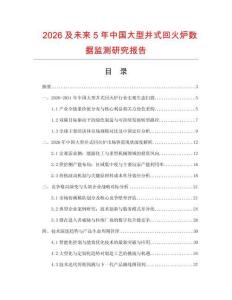 2026及未来5年中国大型井式回火炉数据监测研究报告.docx