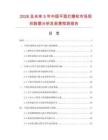 2026及未来5年中国平面打磨轮市场现状数据分析及前景预测报告.docx